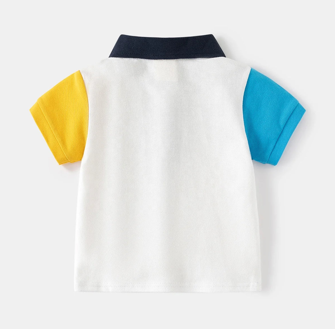 Color Block Polo